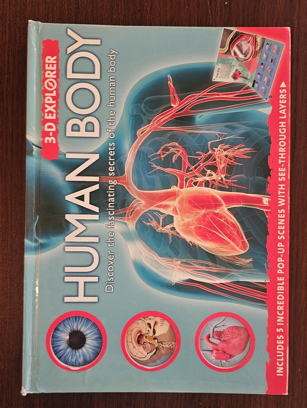 3-D Explorer Human Body Book